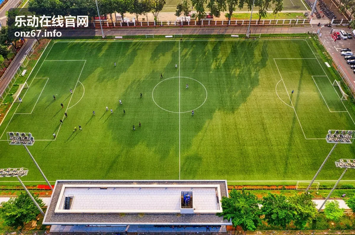 乐动在线官网互动演出现场直播服务